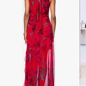 Betsy & Adam Red Floral Maxi Dress with Metallic Stripe